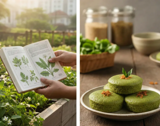 Temukan Cara Hidup Berkelanjutan di Kota Lewat Urban Foraging